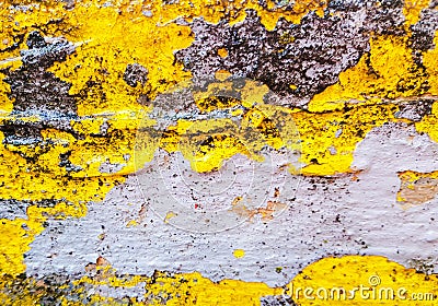 Yellow and grey texture of a grunge background. Great texture. Useful as backdrop. Stock Photo