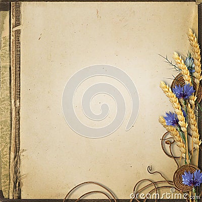 Grunge background with wildflowers and spikelets Stock Photo