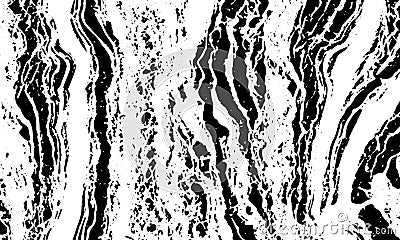 Grunge detailed black abstract texture. Vector Illustration