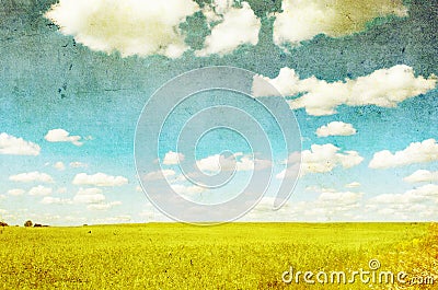 Grunge image of green field Stock Photo