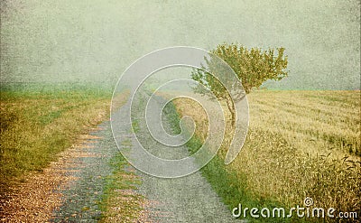 Grunge image of a tree over grunge background Stock Photo