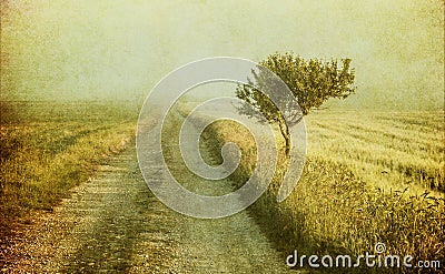 Grunge image of a tree over grunge background Stock Photo