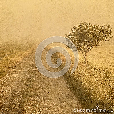 Grunge image of a tree over grunge background Stock Photo