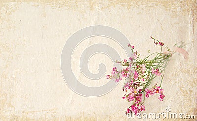 Grunge little pink flowers background Stock Photo