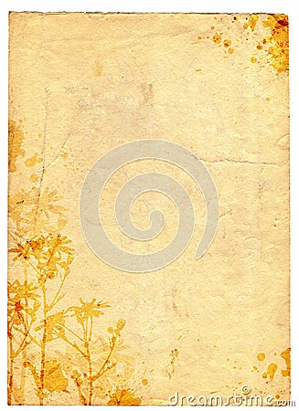 Grunge old paper floral background Stock Photo