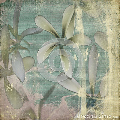 Grunge pastel flower background Stock Photo