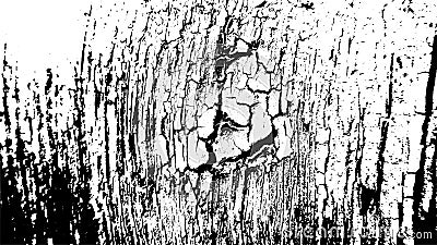 Grunge Pattern. Peeling Paint. Black White Crack Texture Vector Illustration