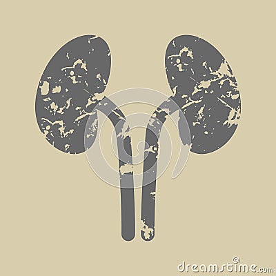 Grunge silhouette of kidneys vector icon. Vector Illustration