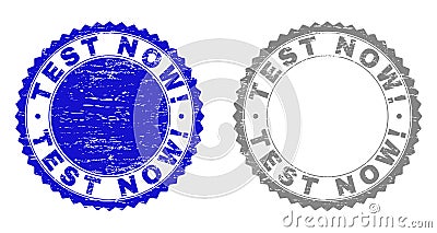 Grunge TEST NOW! Scratched Stamp Seals Vector Illustration