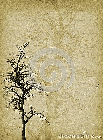 Grunge tree Stock Photo