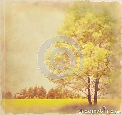 Grunge tree Stock Photo