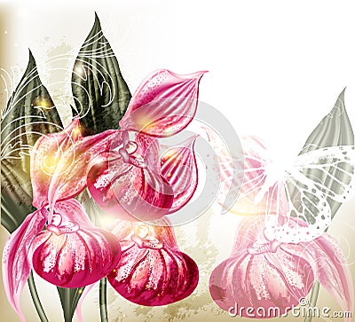 Grunge vector background with realistic pink orchids Cartoon Illustration