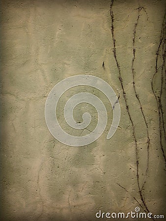 Grunge wall Stock Photo