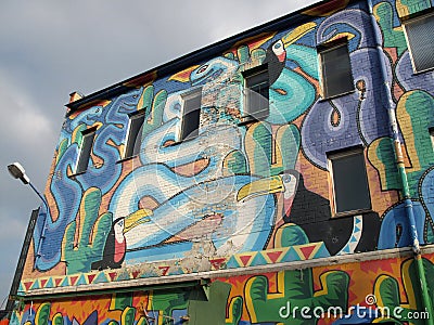 Grunge wall covered in graffiti, Toucan, snake Editorial Stock Photo