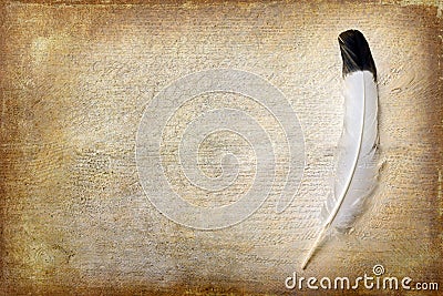 Grunge wallpaper with eagle feather Stock Photo