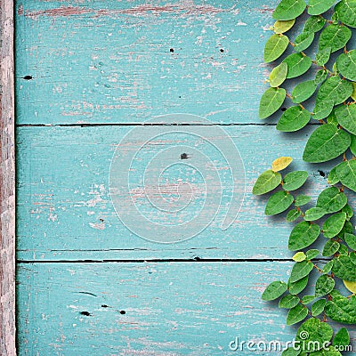 Grunge wood background on green color with ivy fixing tree plant Stock Photo
