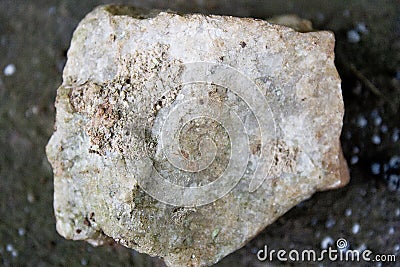 A close up of white and grey porous rock Stock Photo