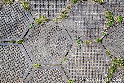 Grungy Hexagonal Tiled Seamless TGarden walkway made of hexagonal plates. Grass breaks through the slabs. Backgroundexture Stock Photo