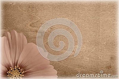 Grungy vintage flower Stock Photo