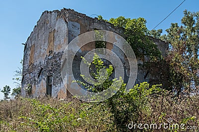 Nature takeover of a timeworn abandoned house Stock Photo
