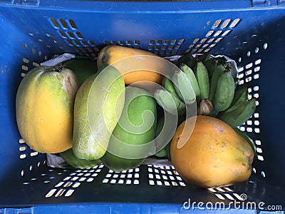 gruop of tropical papaya and banana in basket Stock Photo