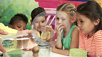 Gruppe glückliche Kinder, die Experiment aufpassen stock video footage Gruppe glückliche Kinder, die Experiment aufpassen stock video footage