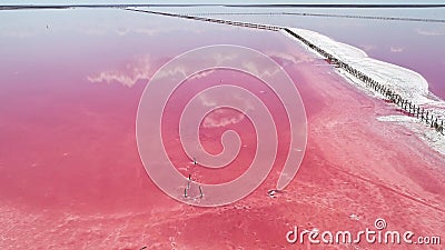 Gränsfritt naturmagasin rosa saltvatten Gränsfritt naturmagasin rosa saltvatten