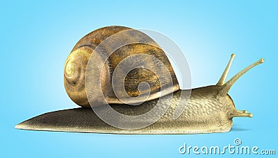Gsrden snail 3d render on blue gradient Stock Photo