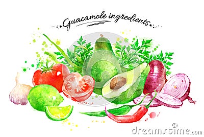 Guacamole ingredients Cartoon Illustration