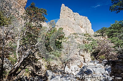 Guadalupe Mountains Landscape - Texas Stock Photo