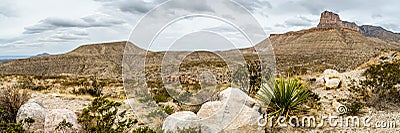 Guadalupe Mountains Texas Stock Photo