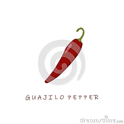 guajilo pepper flat design vector illustration Vector Illustration