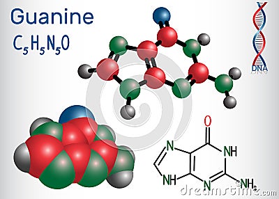 Guanine G, Gua - purine nucleobase, fundamental unit Vector Illustration