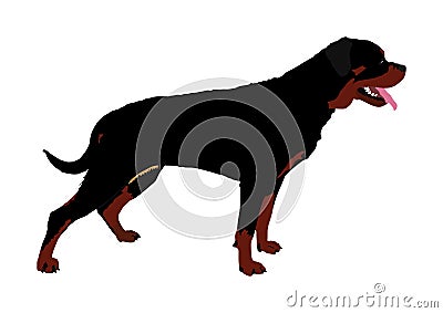 Guardian dog rottweiler portrait. Stock Photo