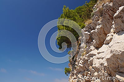 Guardian of the horizon Montenegro, with a lovely fragrant pine forest Stock Photo