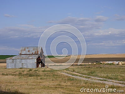 Guardian of the Plains Stock Photo