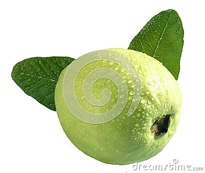 Guava Fruit Stock Photo