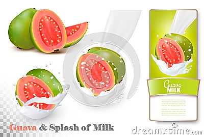 Guava in a milk splash and label on a transparent background. Vector Illustration