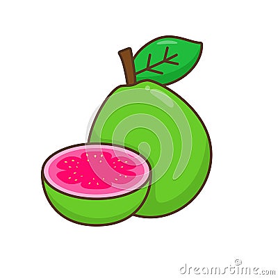 Guava vector illustration in cartoon style Cartoon Illustration