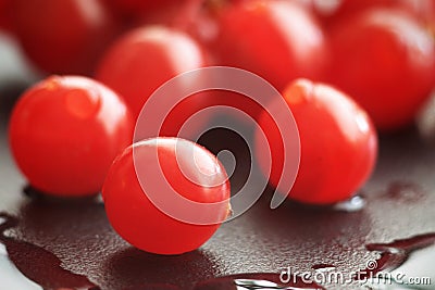 Guelder-rose berries Stock Photo