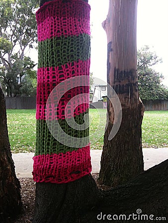Guerrilla knitting on tree Stock Photo
