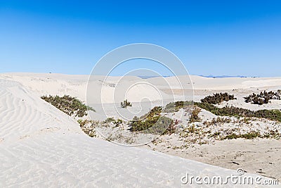 Sand dunes along the western coast of the Baja peninsula Stock Photo