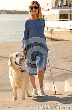 Guide dog helping blind person with long cane going up stairs Stock Photo