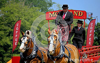 Guildford, England - May 28 2018: Dray or open wooden wagon belonging to Morland Brewery, being pulled by two bay Shire horses in Editorial Stock Photo