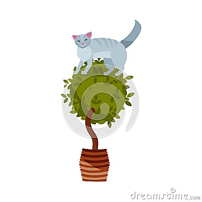 Guilty cat flat color character. Cute naughty playful cat damage houseplats. Kitten play with house plant in pot sitting on Cartoon Illustration