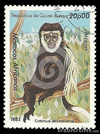Monkey, Mantled Guereza Editorial Stock Photo