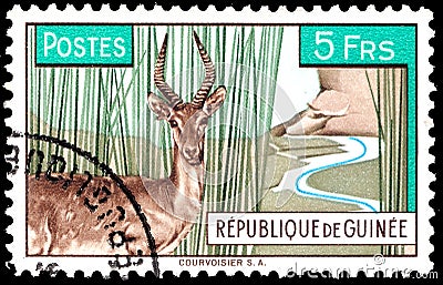 Postage stamp issued in Guinea with the image of the Impala antelope Defassa Waterbuck - one of the symbols of Africa Editorial Stock Photo