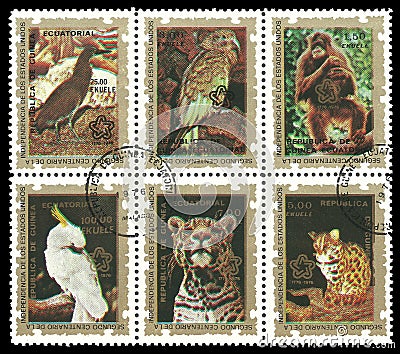 Guinea Equatorial, Fauna Editorial Stock Photo