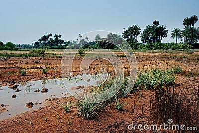 Guinea Kamsar tug bridge view Stock Photo