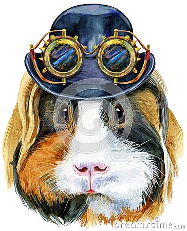 Watercolor portrait of Sheltie guinea pig with hat bowler and steampunk glasses on white background Cartoon Illustration